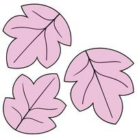 Three Pink Autumn Leaves Design Simple Nature Illustration vector