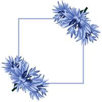 festive, conceptual poster with a square frame in the middle with open field cornflowers on either side of the frame, for cards, invitations or banners vector