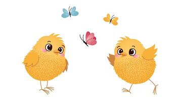 Two Chicks with Butterflies on White Background. Two cute yellow chicks looking at a butterfly on a white background. Easter and spring childrens design for greeting card, invitation. vector