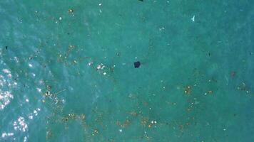 Ocean surface and plastic trash. Aerial view of floating plastic pollution in Bali video