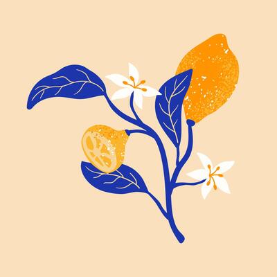 Blooming lemon branch with fruits, flowers and leaves. Summer exotic and tropic elements. print for card, t shirt, decor.