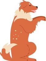 Charming illustration of a collie dog sitting upright with a playful expression. The dogs reddish brown fur and fluffy tail add to its adorable and friendly appearance vector