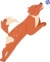 Animated illustration of a playful dog energetically jumping to catch a blue ball. The dog is brown with white patches, exuding excitement and agility against a simple background vector