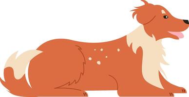 Illustration of a friendly collie dog lying down with a happy expression, showcasing its fluffy fur and distinctive markings. Perfect for pet related designs and animal illustrations vector