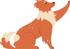Illustration of a friendly collie dog with a raised paw, showcasing its fluffy coat and attentive expression. Perfect for pet related designs and animal themed projects vector