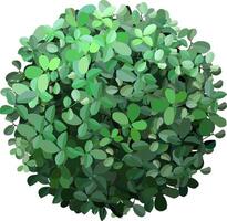 Lush green leaves intricately arranged in a circular shape, showcasing vibrant shades of green. The foliage creates a harmonious and natural aesthetic perfect for design and nature themes vector