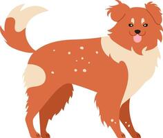Kooikerhondje standing in profile with wagging tail and tongue out, happy and playful, isolated on white background, simple flat illustration vector