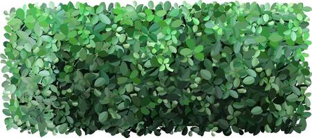 Dense green foliage forms a natural hedge, providing privacy and a lush backdrop. The variety of leaf shapes and shades of green create a vibrant, textured appearance ideal for gardens vector