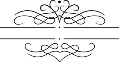 Decorative calligraphic divider with swirls and flourishes creating an elegant and vintage design perfect for enhancing text and adding a touch of classic style vector