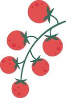 Illustration showcasing a cluster of ripe red tomatoes hanging from a lush green vine. The simple and clean design emphasizes freshness and organic growth, ideal for agricultural themes vector