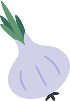Stylized illustration of a garlic bulb with green shoots, showcasing a simple and modern design. The garlic is depicted in a flat, minimalistic style, emphasizing its organic form vector