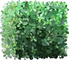 Intertwining lush green leaves create a rich, textured backdrop, offering an ideal setting for nature themed designs and projects, enhancing any visual composition with vibrant foliage vector