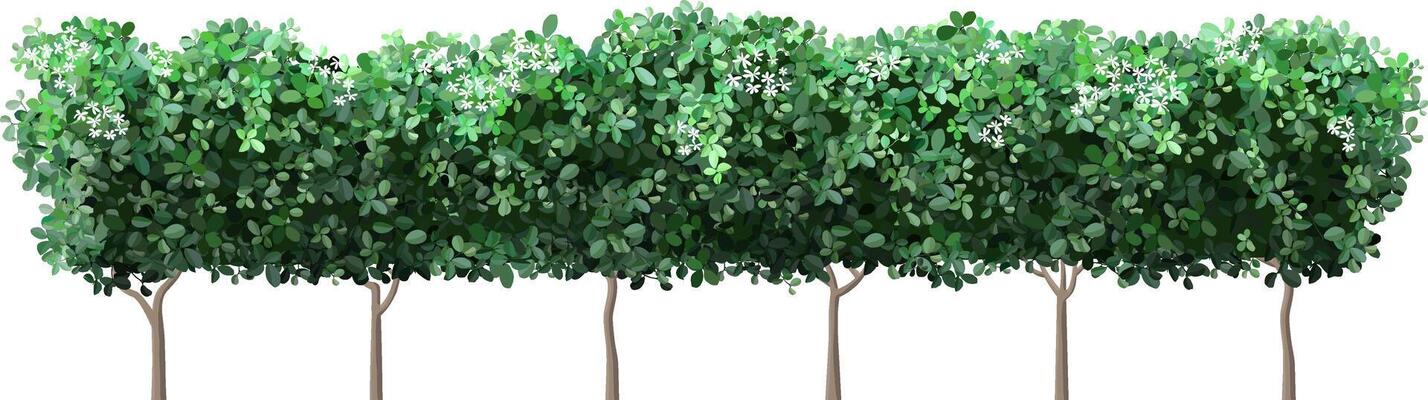 Lush green trees adorned with delicate white flowers create a stunning natural border, fostering a serene and private atmosphere while enhancing the beauty of the surrounding landscape