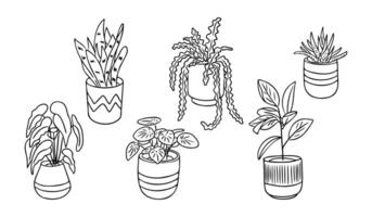 Hand drawn doodle collection of potted houseplants in black and white, featuring various leaf shapes and decorative pots, perfect for coloring or botanical-themed projects vector