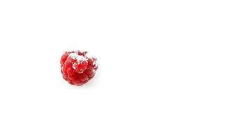 Raspberry dusted with sugar against a simple white background photo