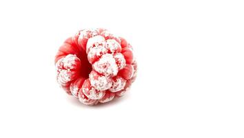 Fresh raspberry with sugar coating on a clean surface photo