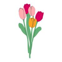 Tulips flower bouquet isolated.Flower collection with pink, yellow blooms on transparent background.Simple flat design. illustration Eps10 vector