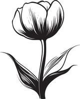Minimalist black outline of a tulip flower in format vector