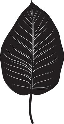 Black illustration of a simple calathea leaf silhouette