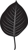 Minimalist black silhouette of a calathea leaf in format vector