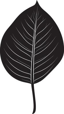 Minimalist black silhouette of a calathea leaf in format