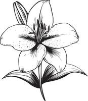 Black illustration of a lily flower outline vector