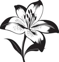 Minimalist black silhouette of a lily flower in format vector