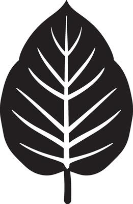 Black illustration of a calathea leaf icon
