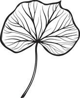 Taro leaf outline in black style vector