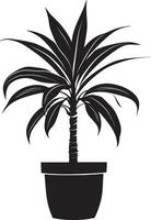 Minimalist black icon of a Dracaena plant in format vector