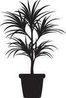 Minimalist black silhouette of a Dracaena plant in format vector
