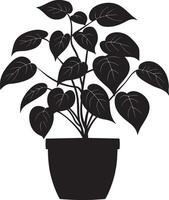 Pothos simple silhouette black illustration vector