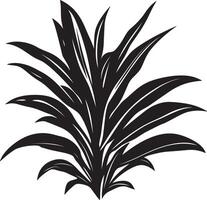 Black illustration of a simple bromeliad leaf silhouette vector