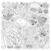 doodle illustrations of plants of different types vector