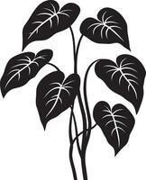 Philodendron simple silhouette black illustration vector