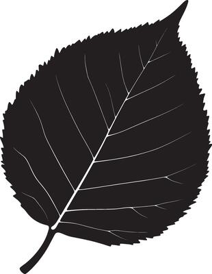 leaf simple silhouette black illustration