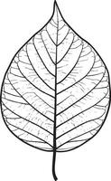 Leaf outline in black style vector