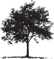 Black illustration of a simple tree silhouette vector