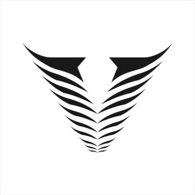 The letter v is made up of two wings