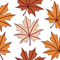 Clean Warm autumn leaves seamless tile pattern with maple and chestnut leaves for cozy fall spaces concept as Maple and chestnut leaves arranged seamlessly in warm tones for creating coz vector