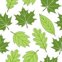 Clean Vibrant spring leaves seamless tile pattern with a mix of maple oak and birch leaves for an organic touch concept as Maple oak and birch leaves in vibrant green tones create a seam vector