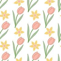 Clean Spring pastel seamless pattern with tulips and daffodils for fresh lively spring spaces concept as Fresh tulips and daffodils arranged in seamless spring pastel patterns for a live vector