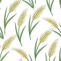 Clean Spring wheat grass seamless tile pattern with soft green and golden hues for an organic touch concept as Wheat grass with soft green and golden hues creates an organic and fresh sp vector