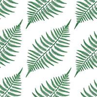 Clean Soft green fern leaves seamless tile pattern with delicate fronds symbolizing new life and renewal concept as Soft green ferns with delicate fronds create a seamless tile pattern s vector