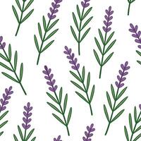 Clean Rustic spring garden seamless tile pattern with lavender and rosemary for aromatic outdoor spaces concept as Aromatic lavender and rosemary seamlessly patterned for a rustic spring vector