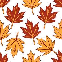 Clean Rich autumn colors seamless tile pattern with falling leaves vibrant oranges reds and browns concept as Falling leaves in vibrant oranges reds and browns create a rich autumn color vector