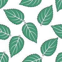 Clean Refreshing summer leaves seamless tile pattern with mint and ivy for a clean fresh feel concept as Clean and fresh mint and ivy leaves arranged seamlessly to create a refreshing an vector