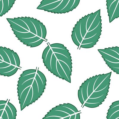 Clean Refreshing summer leaves seamless tile pattern with mint and ivy for a clean fresh feel concept as Clean and fresh mint and ivy leaves arranged seamlessly to create a refreshing an