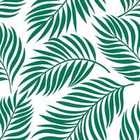 Clean Lush tropical palms seamless tile pattern with bold green leaves and a laid back summer feel concept as Bold green tropical palm leaves create a seamless tile pattern evoking a lai vector