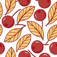 Clean Juicy cranberry seamless tile pattern with deep red berries and autumn leaves concept as Deep red cranberries and autumn leaves form a juicy cranberry seamless tile pattern perfect vector
